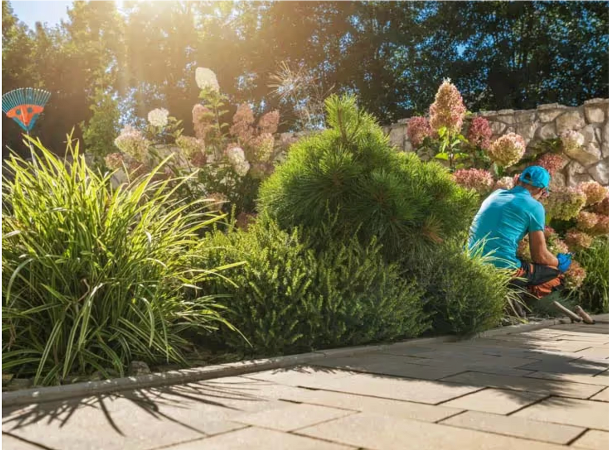 Landscape Install And Design for Citiscapes, LLC in Phoenix, AZ