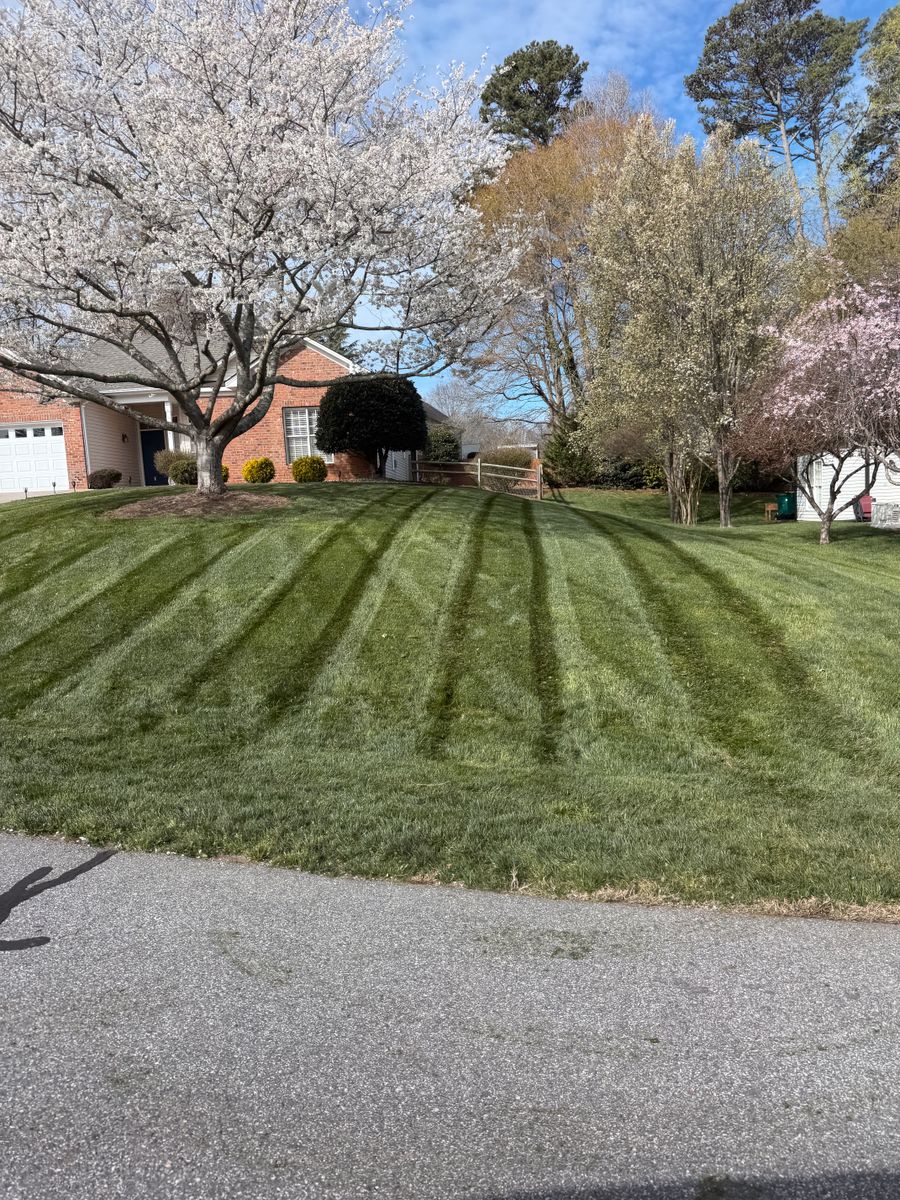 Lawn Mowing for Holloway Yard Company in Winston-Salem, NC