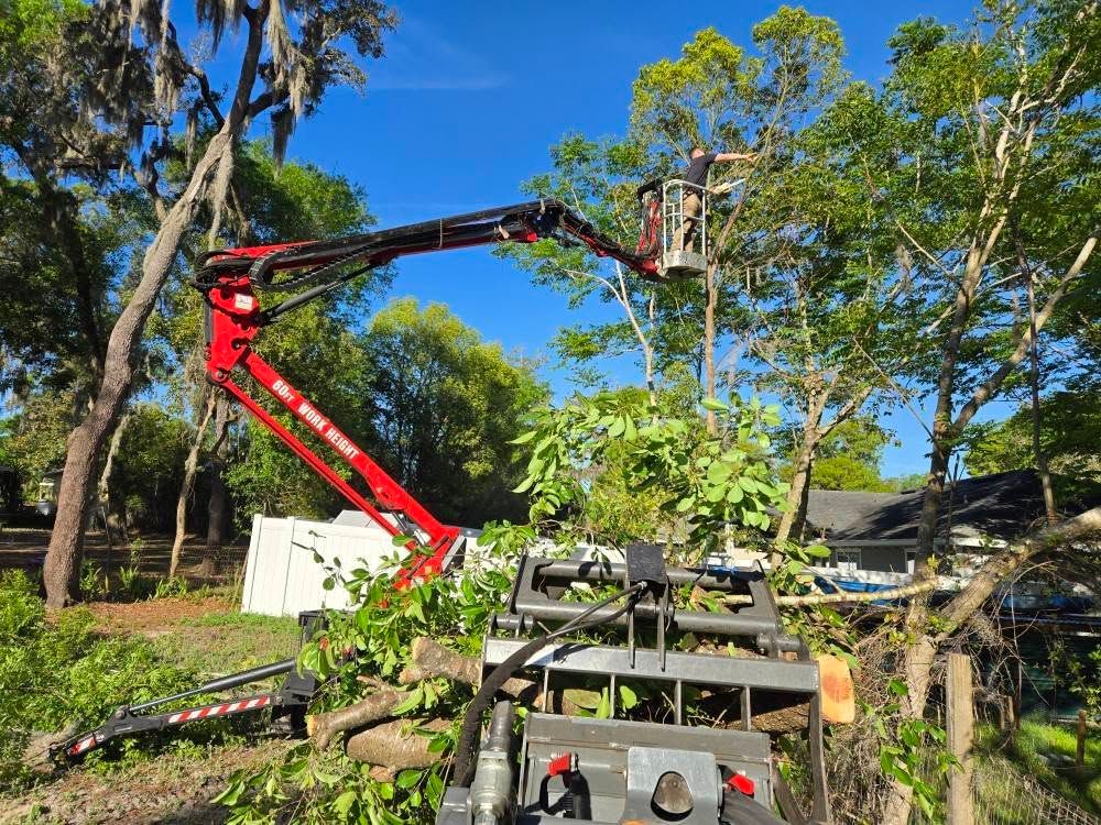 Underbrush Clearing for Near Me Tree Service, Inc. in DeLand, FL