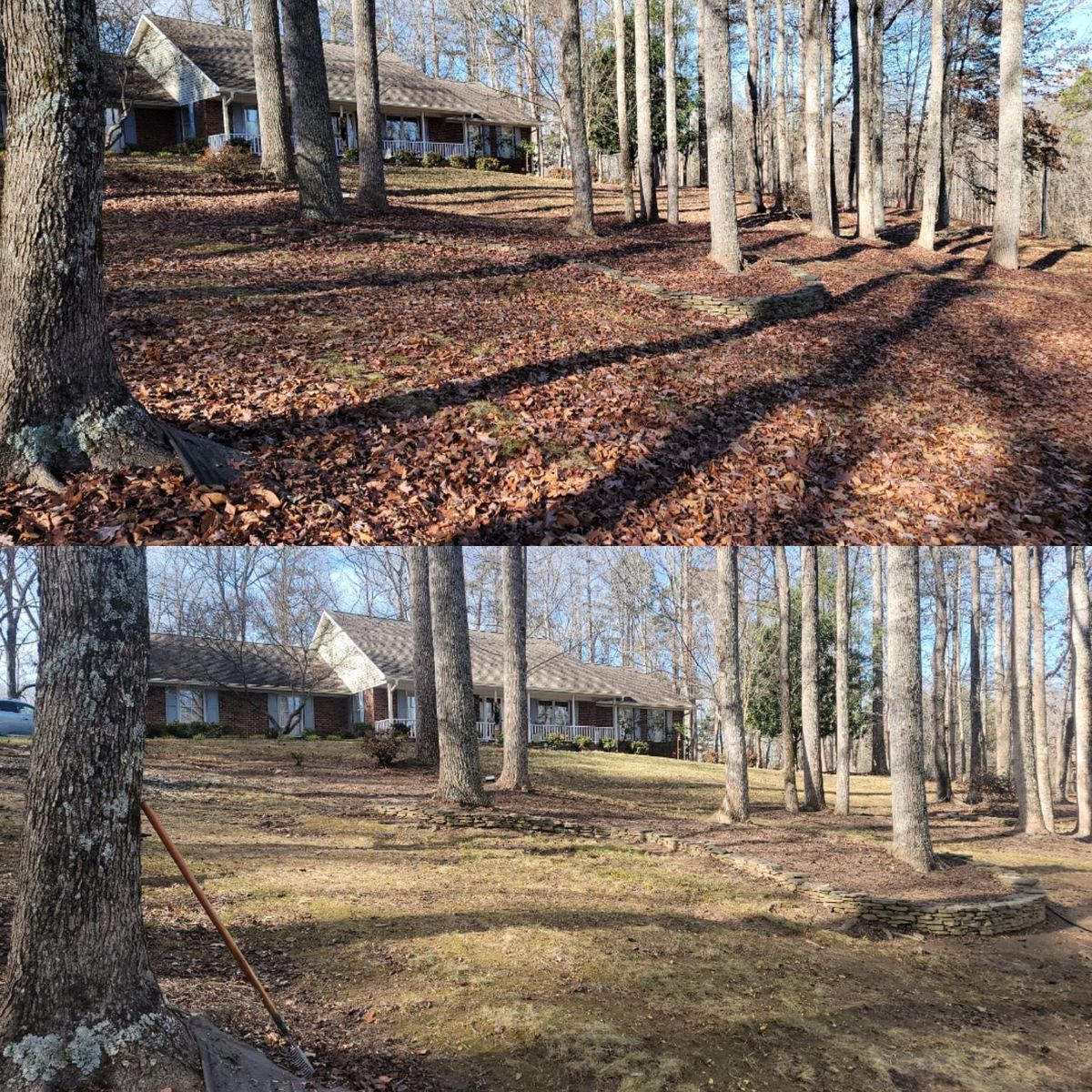 Fall and Spring Clean Up for Piedmont Lawn and Landscaping in Lexington, NC