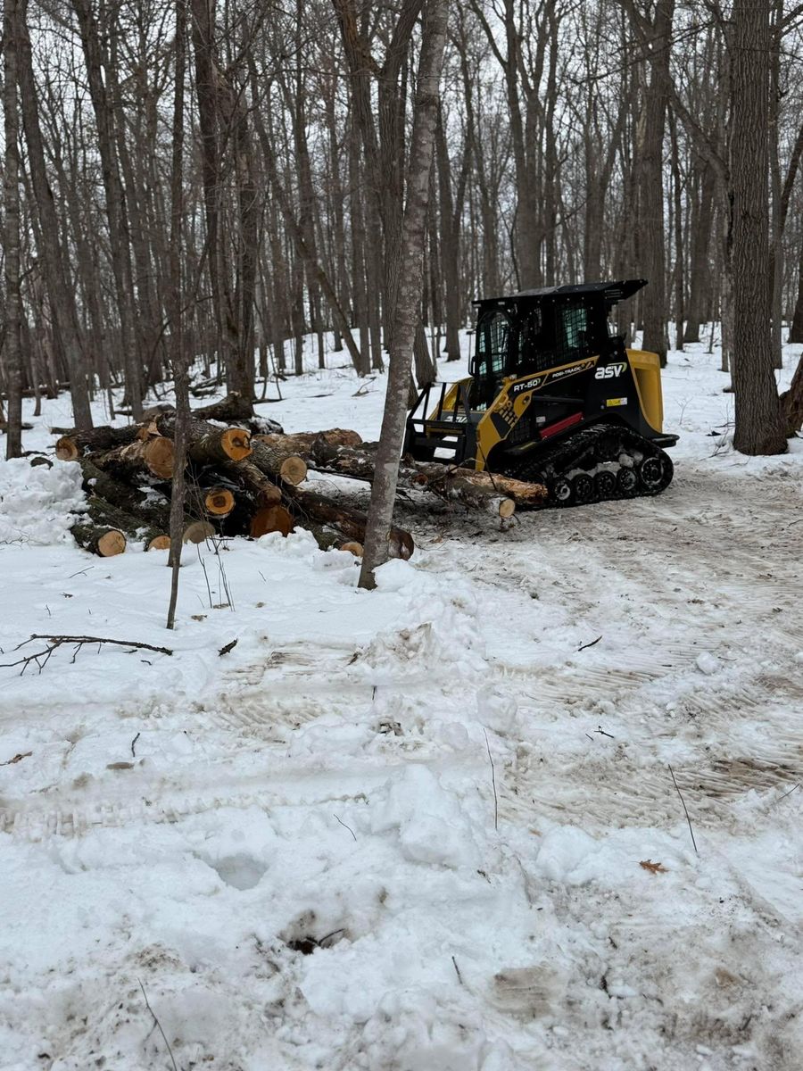 Stump Grinding and Removal for Northern Summit Landworks in Little Falls, MN