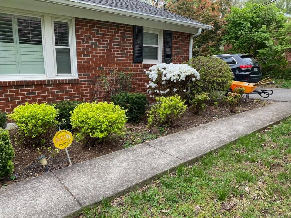 Fall Clean Up for Pro Lawn and Landscape in White Bluff, TN