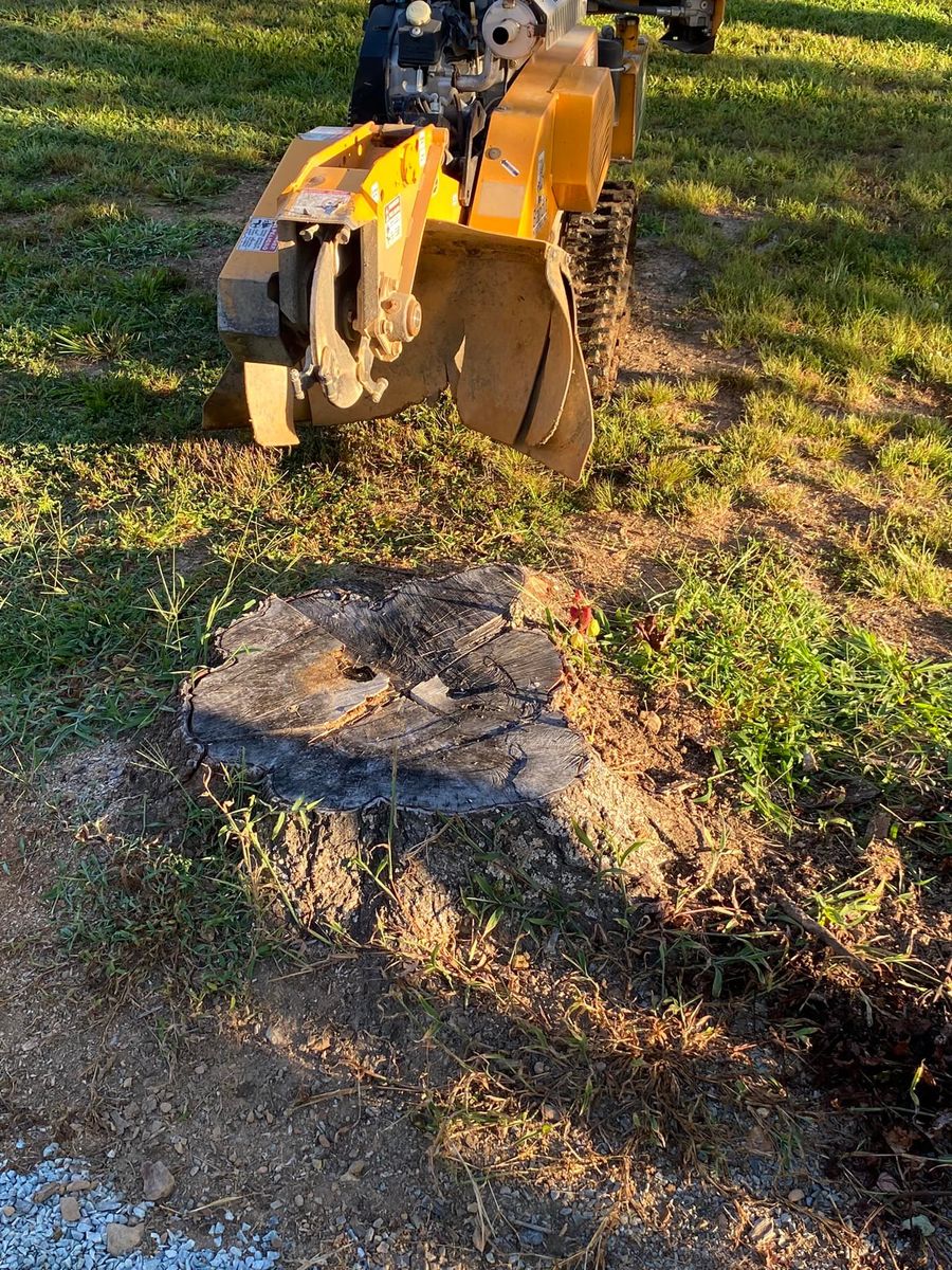 Stump Removal for Junk B Gone in Rougemont, NC