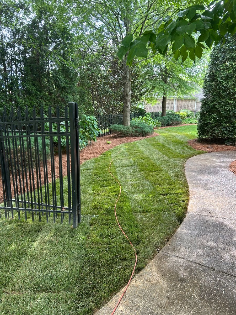 Mulch Installation for Optimum Tree Service And Landscaping in Bowling Green, KY
