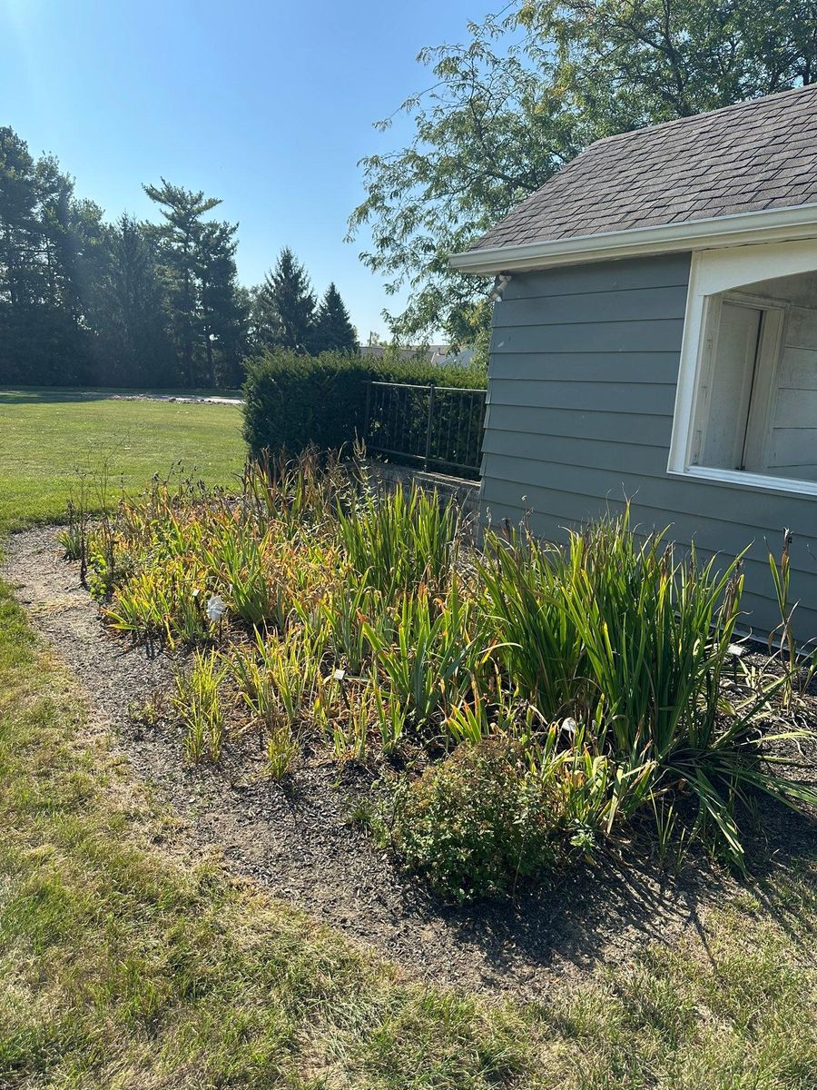 Shrub Trimming for OT Lawn and Landscaping LLC in Carey, OH