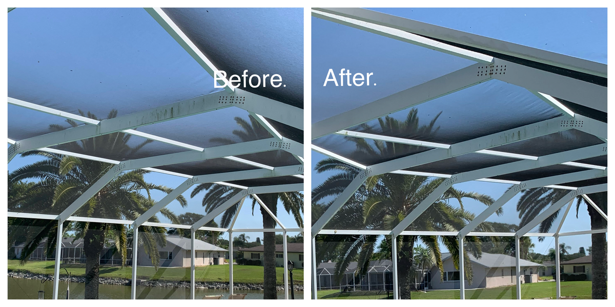 Sanitization Cleaning for My Softwash Guys in Venice, FL