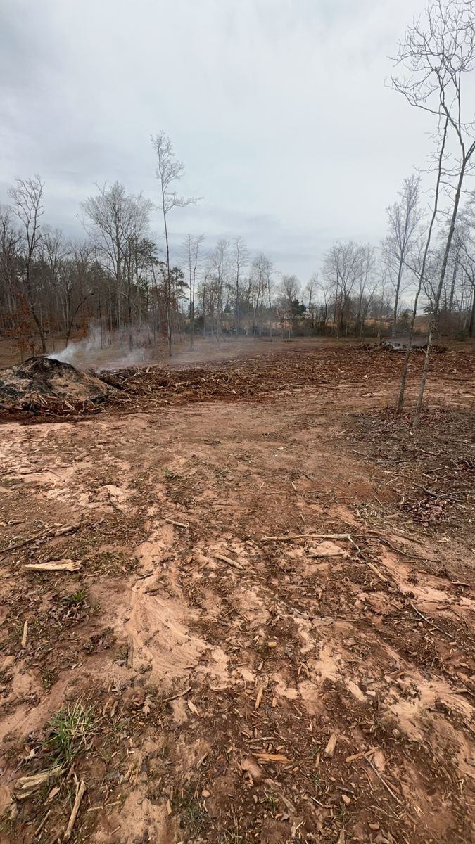 Stump & debris Removal for Stines and Company  in Rutherfordton, NC