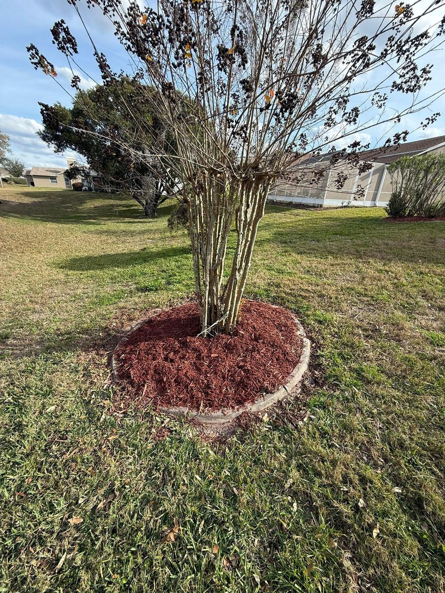 Mulch Installation for Kramer & Son’s Property Maintenance in Hudson, FL
