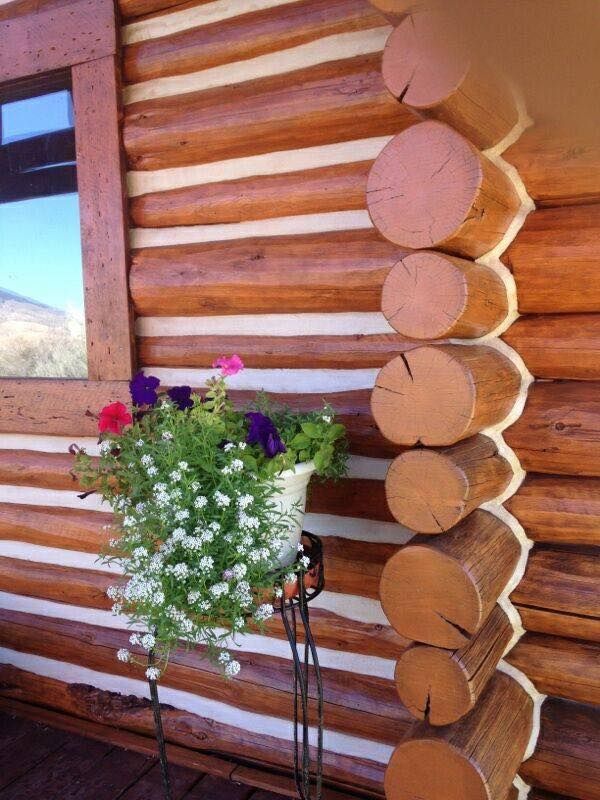 Staining for True Blue Logworks LLC in Corvallis, MT