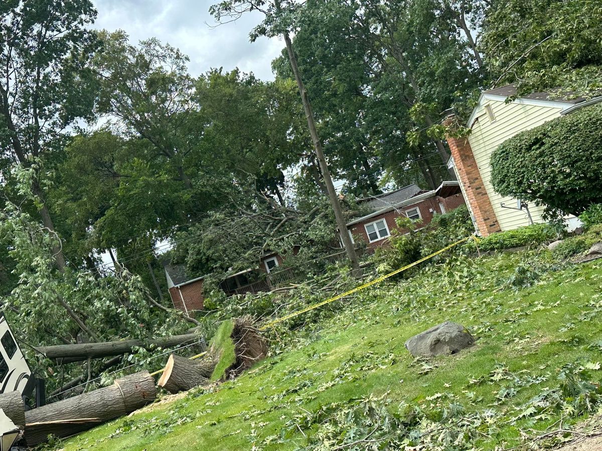 Tree Removal for DGD Outdoor Services LLC in Howell, MI