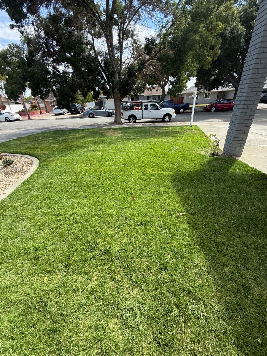 Shrub Trimming for CBA Landscaping in Hayward, CA