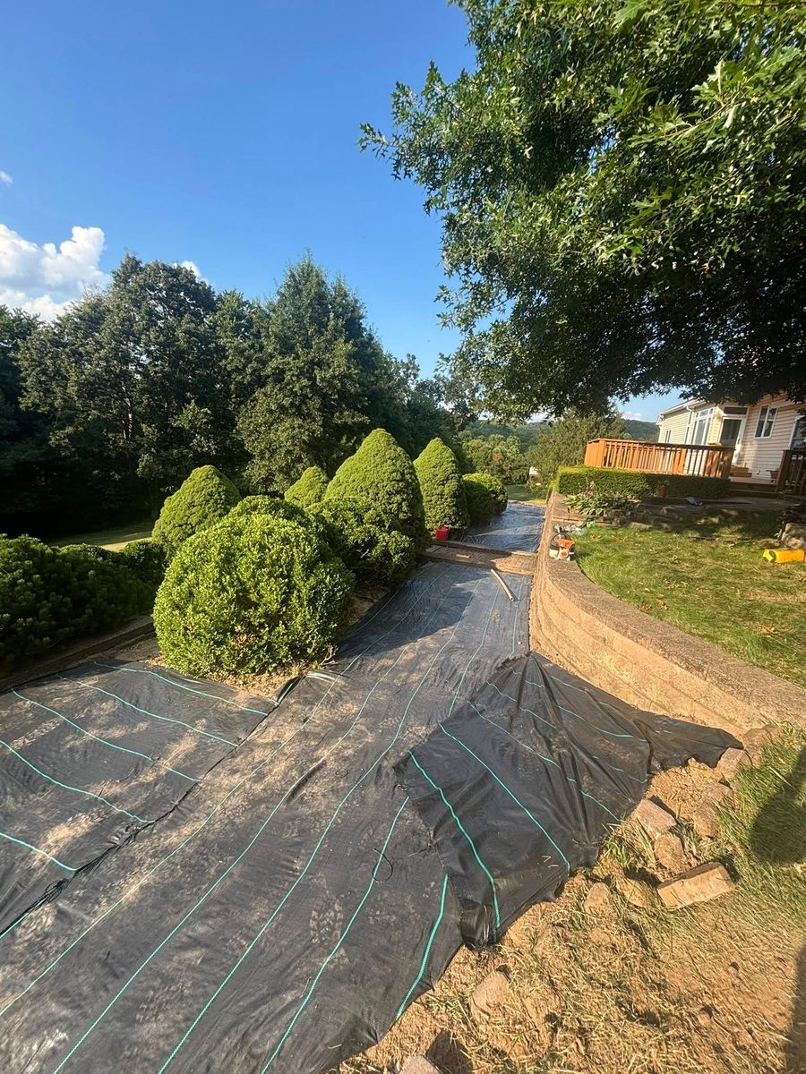 Tree & Shrub Care for CWE Primary in Arnold, MO