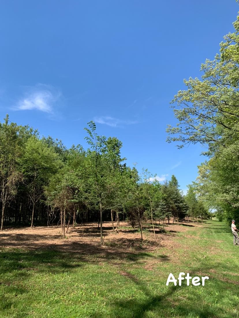 Land Clearing for Penn Top Property Services in Lake Meade, PA