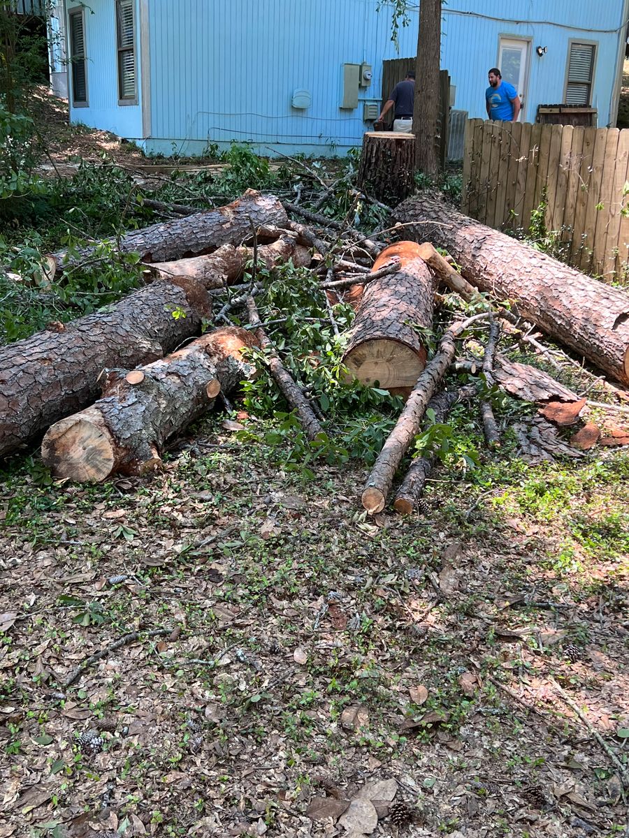 Debris Removal for Southern Venom Services in Daphne, AL