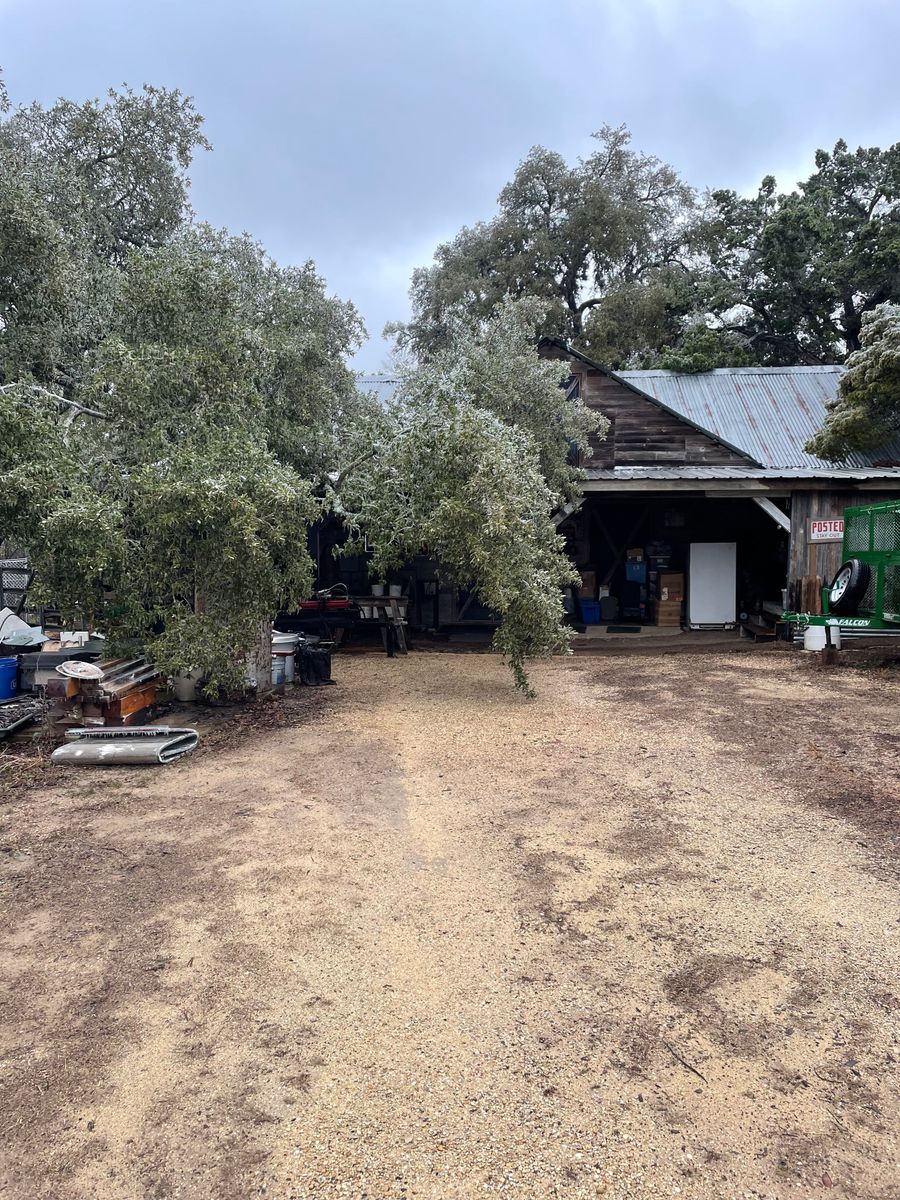 24 hour emergency services for Z’s Trees LLC in Grey Forest, TX