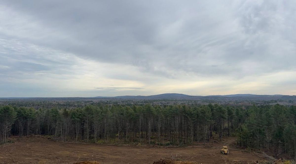 Land Clearing & Forestry Mulching for Gardner Road Company in Winn, ME