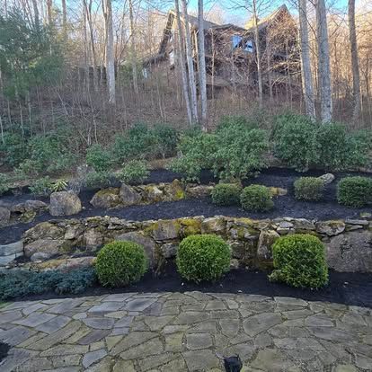 Shrub & Tree Trimming for Lopez Landscaping and Tree Service  in Waynesville, NC