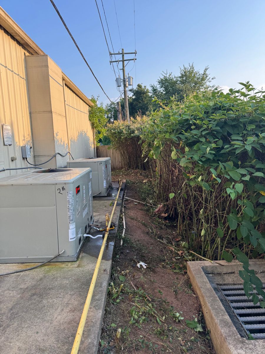 Debris Removal for Robbie's Lawn & Landscape in Richmond, VA