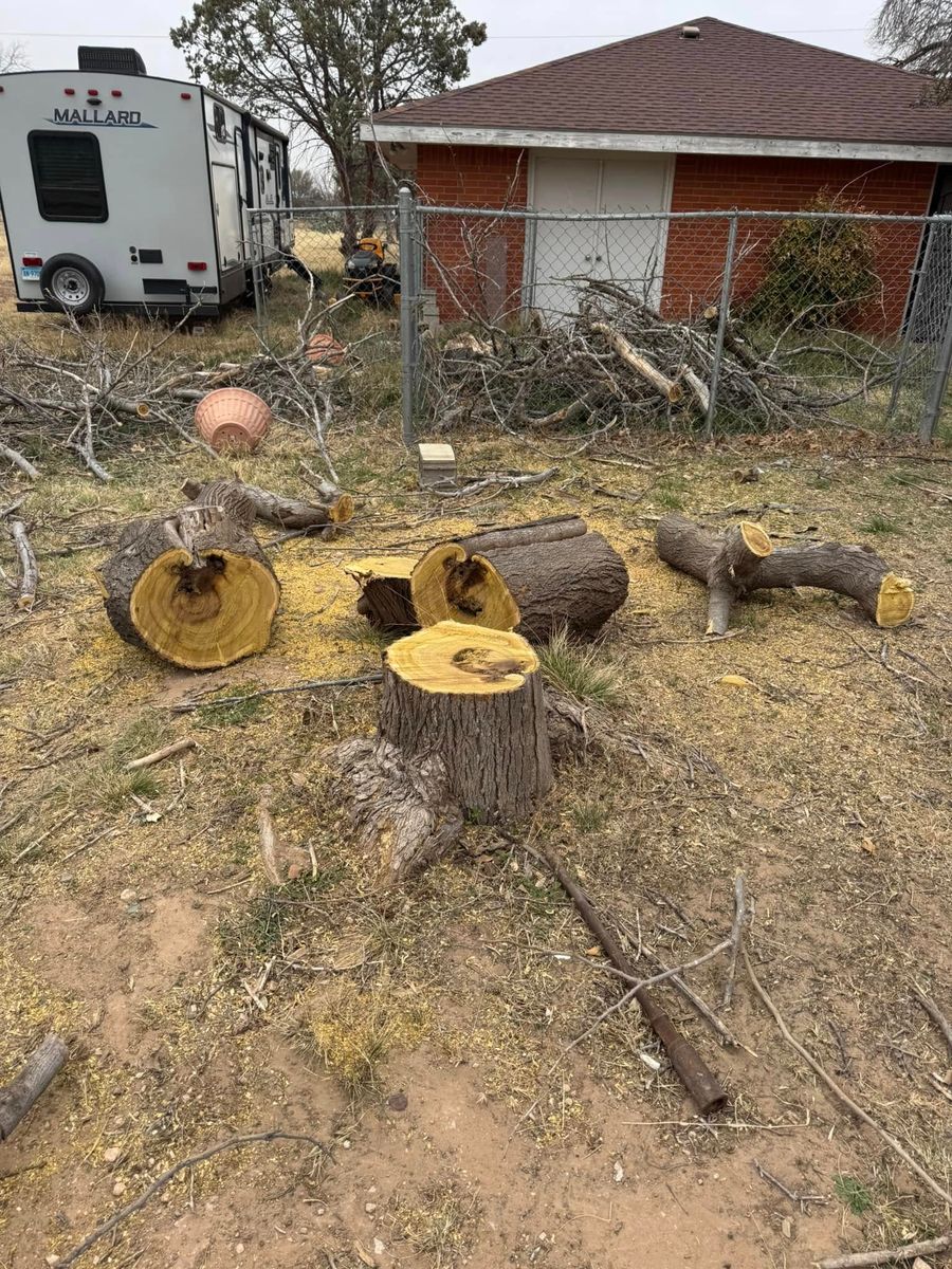 Stump Removal for Lion In The Tree Trimming Service in Big Spring, TX