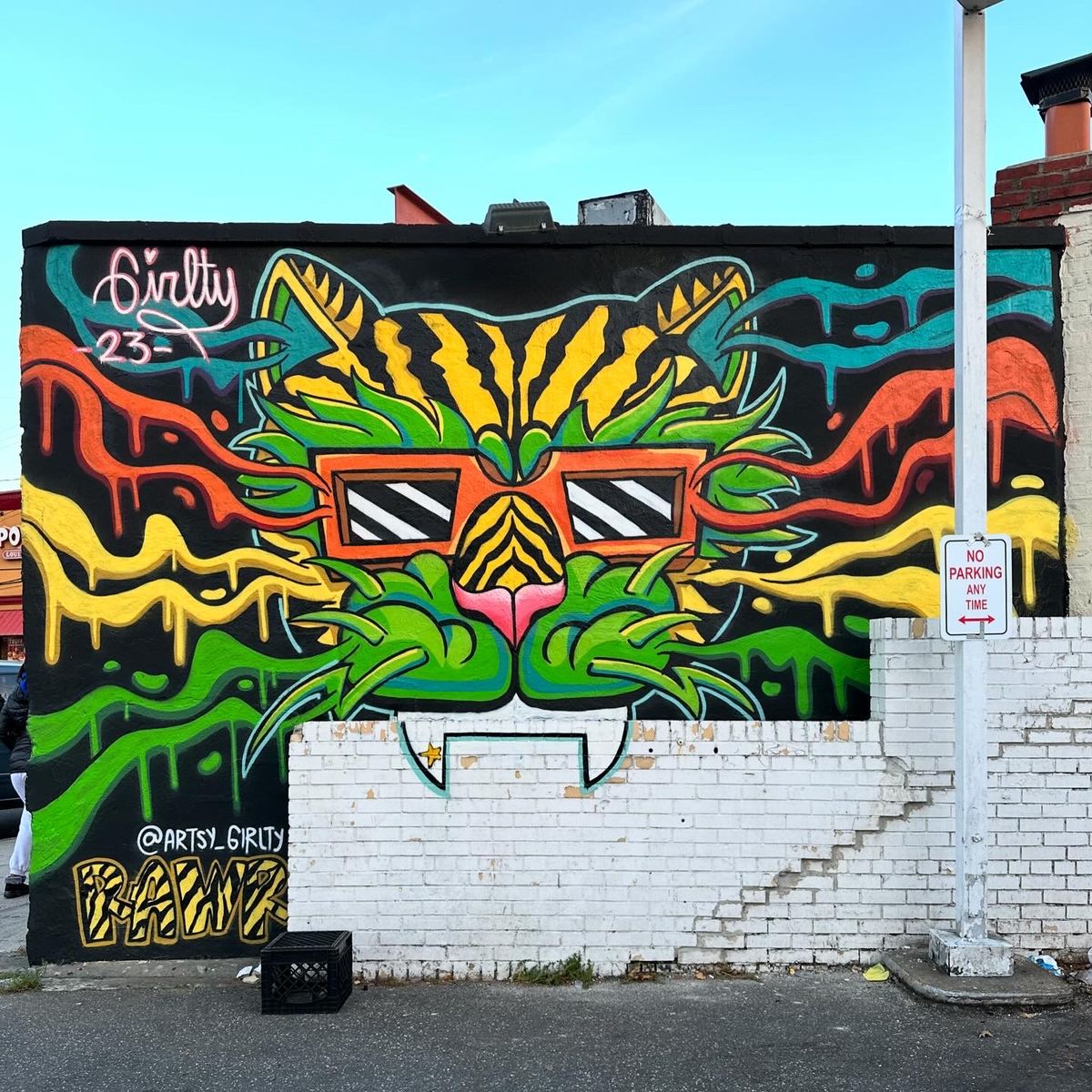 Commercial Murals for ANAEME in New York, NY