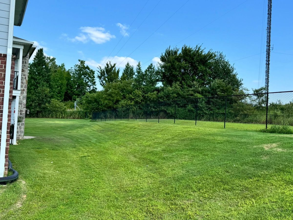 Lawn Maintenance for Apex Lawn & Landscaping INC in Dyersburg, TN