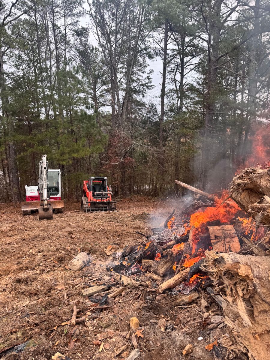 Tree Removal for Leal’s Lawn Service in Dayton, TN