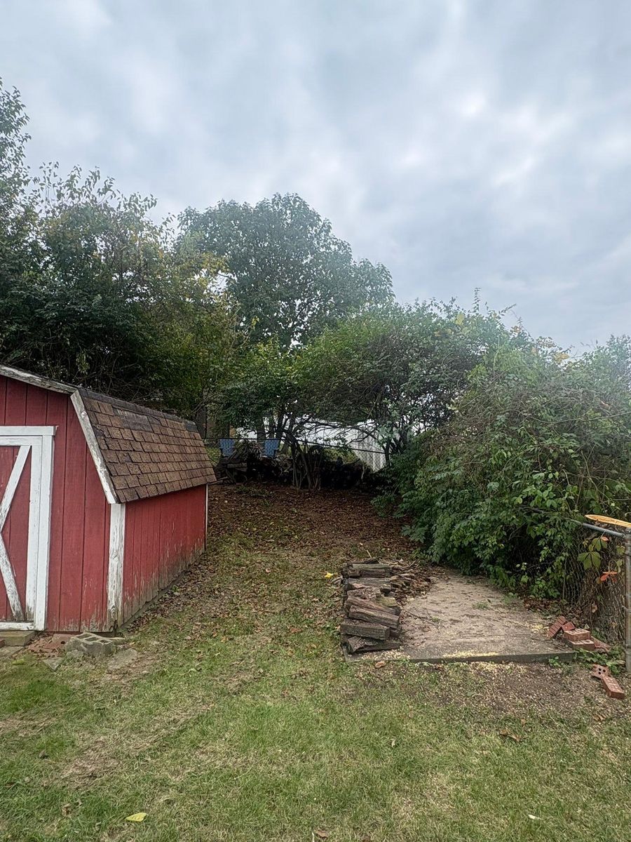 Tree Trimming for Dig-It Tree Company in Mason, OH