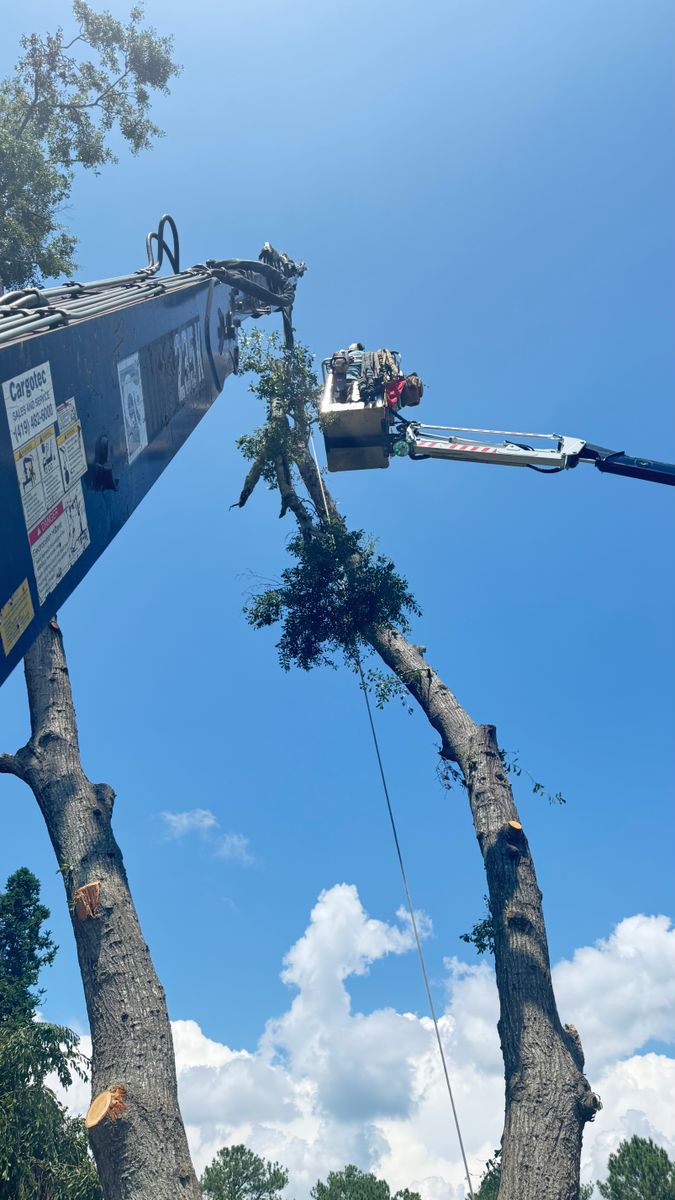 Tree Removal for Owens Tree Services in Inman, SC