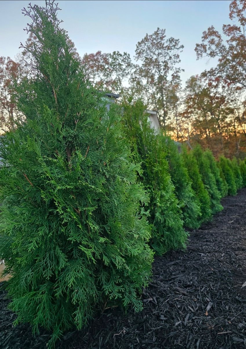 Hardscaping for D&D Unlimited Landscaping in Hartwell, GA