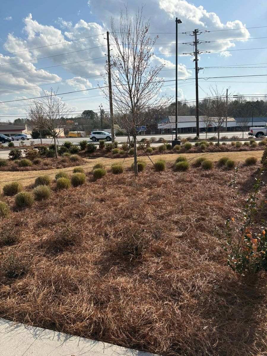 Hedge Trimming for Taylormade Lawn Management in Clarkesville, GA