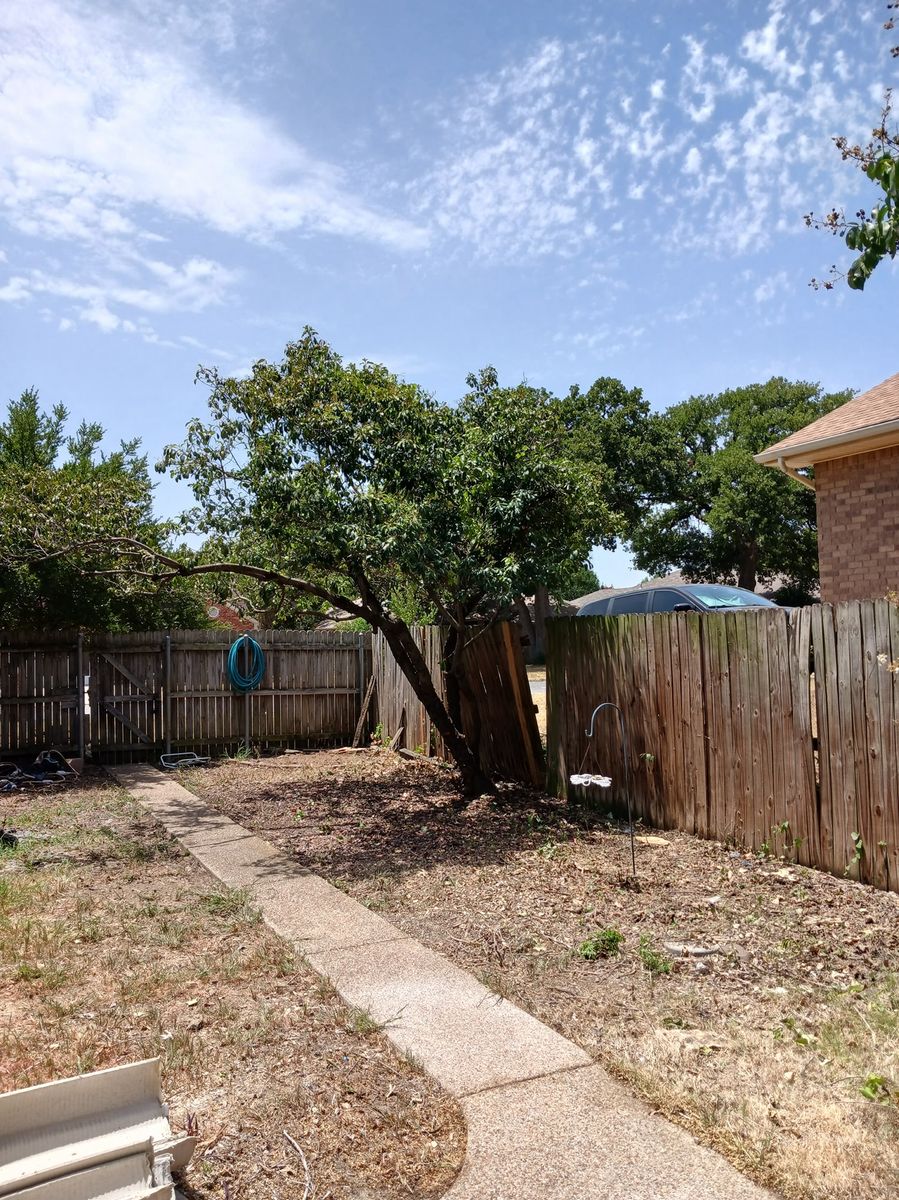 Tree Removal for Muniz Tree Service in North Richland Hills, TX