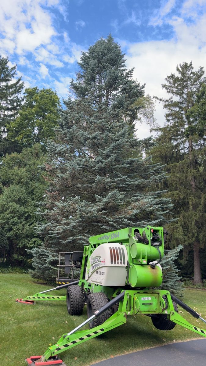 Tree Removal for Fransen's Tree Service  in Freeport, IL