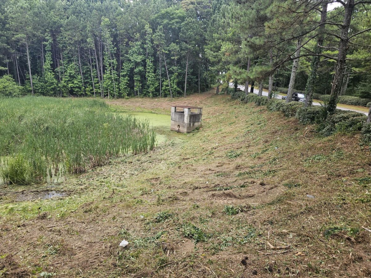 Brush mowing & Forestry mulching for Jason Scott Grading & Clearing in Williamson, GA