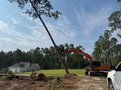 Arborist & Tree Removal for Southern Land Improvements in Edgefield, SC