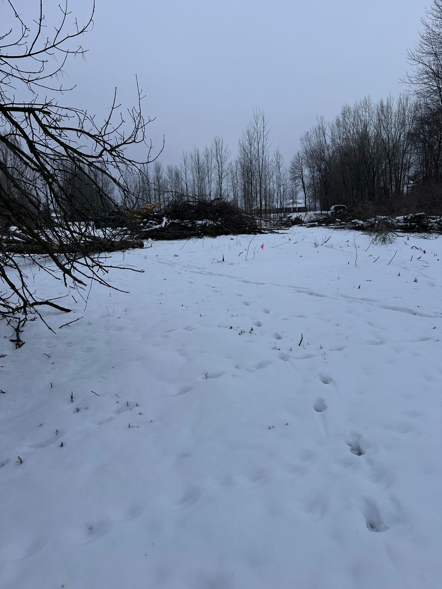 Debris Removal for B & M Land Management in Green Bay, WI