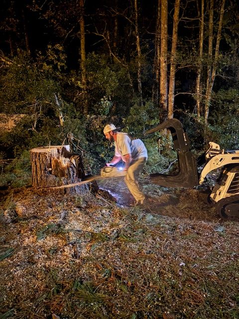 Stump Removal for Hawkins Tree Service & Land Management in Richmond Hill, GA