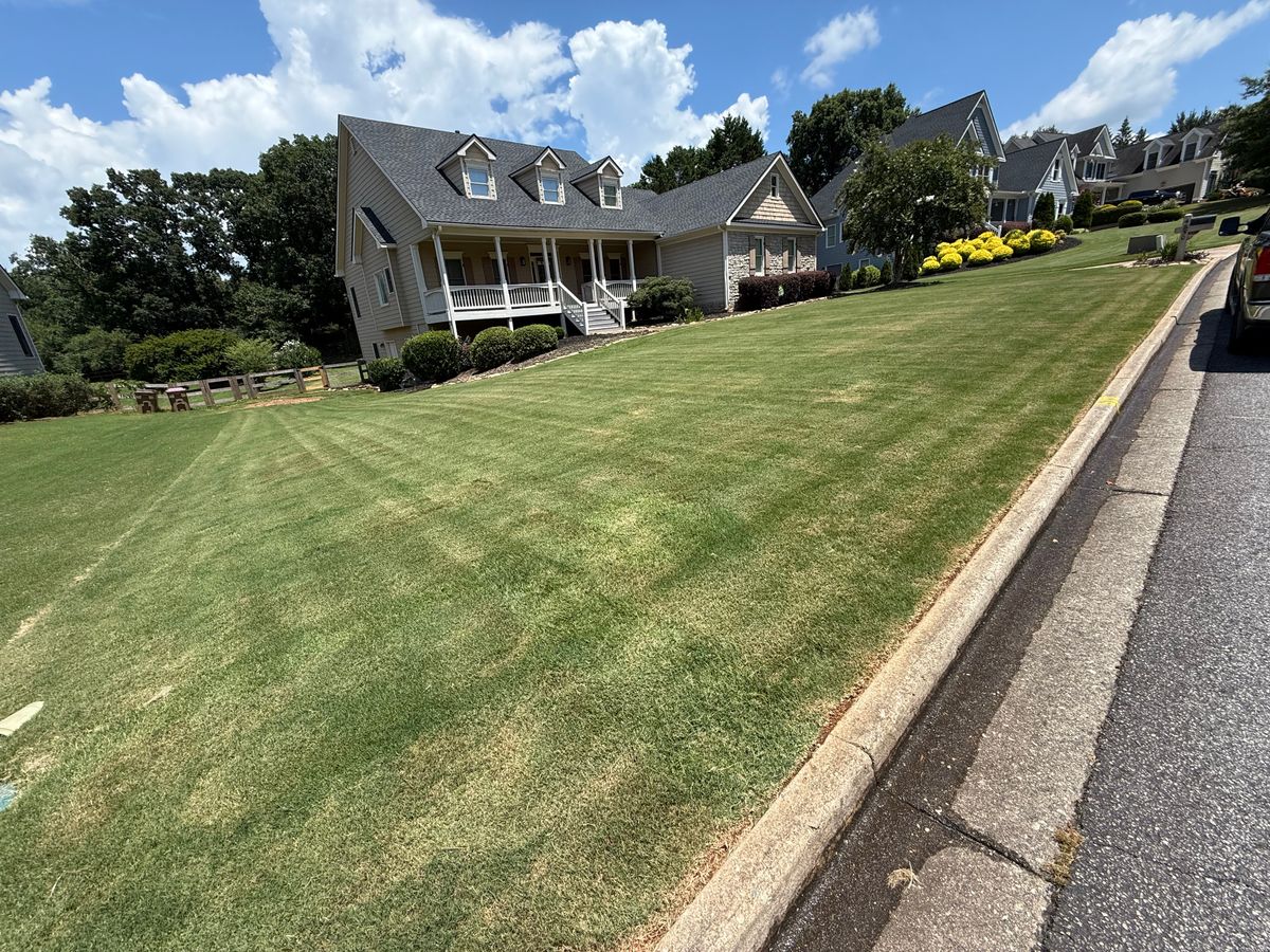 Lawn Care Fertilization for Amerigreen Lawn & Landscape in Duluth, GA