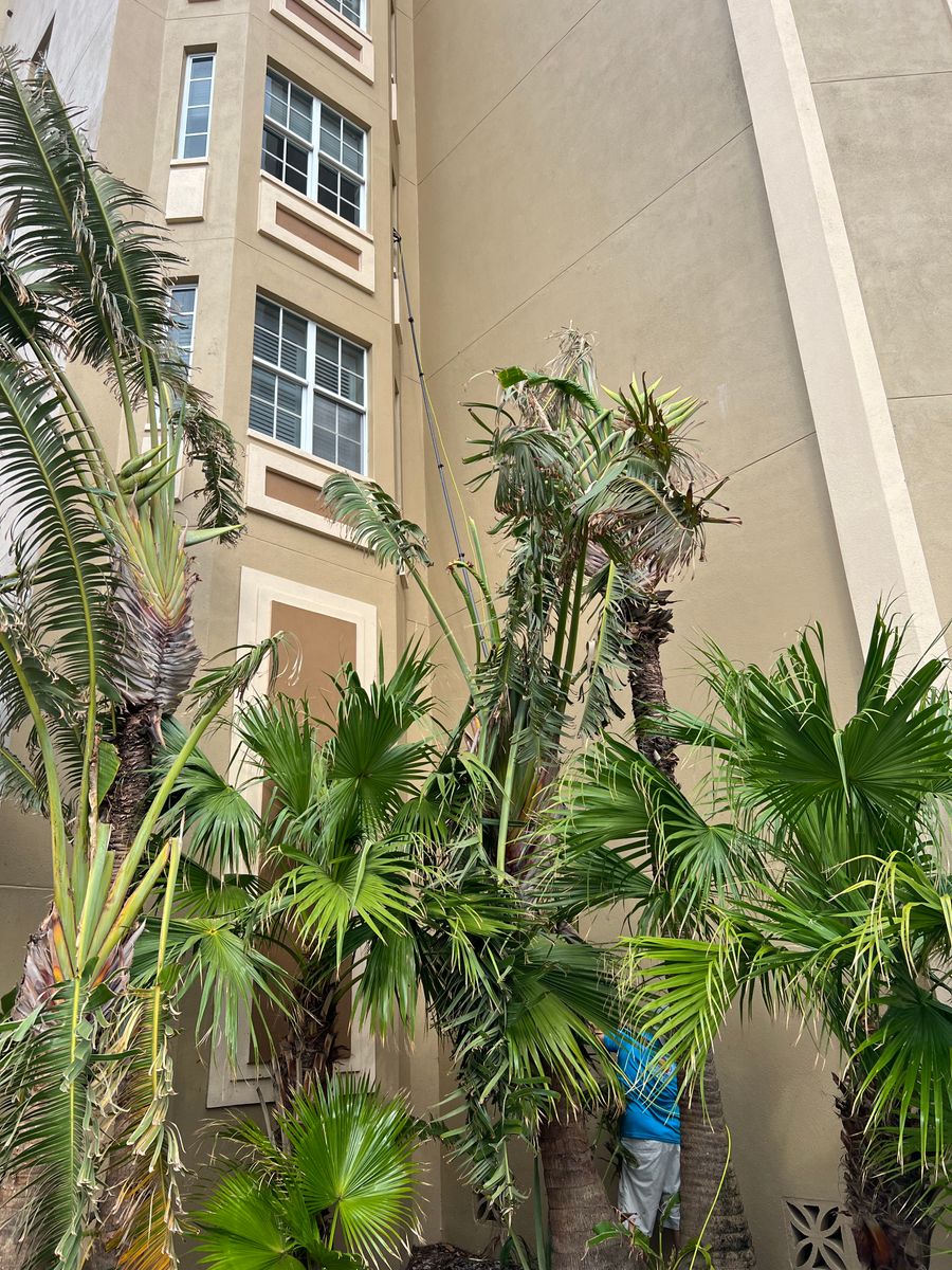 Commercial Window Cleaning for My Window Guys in Venice, FL