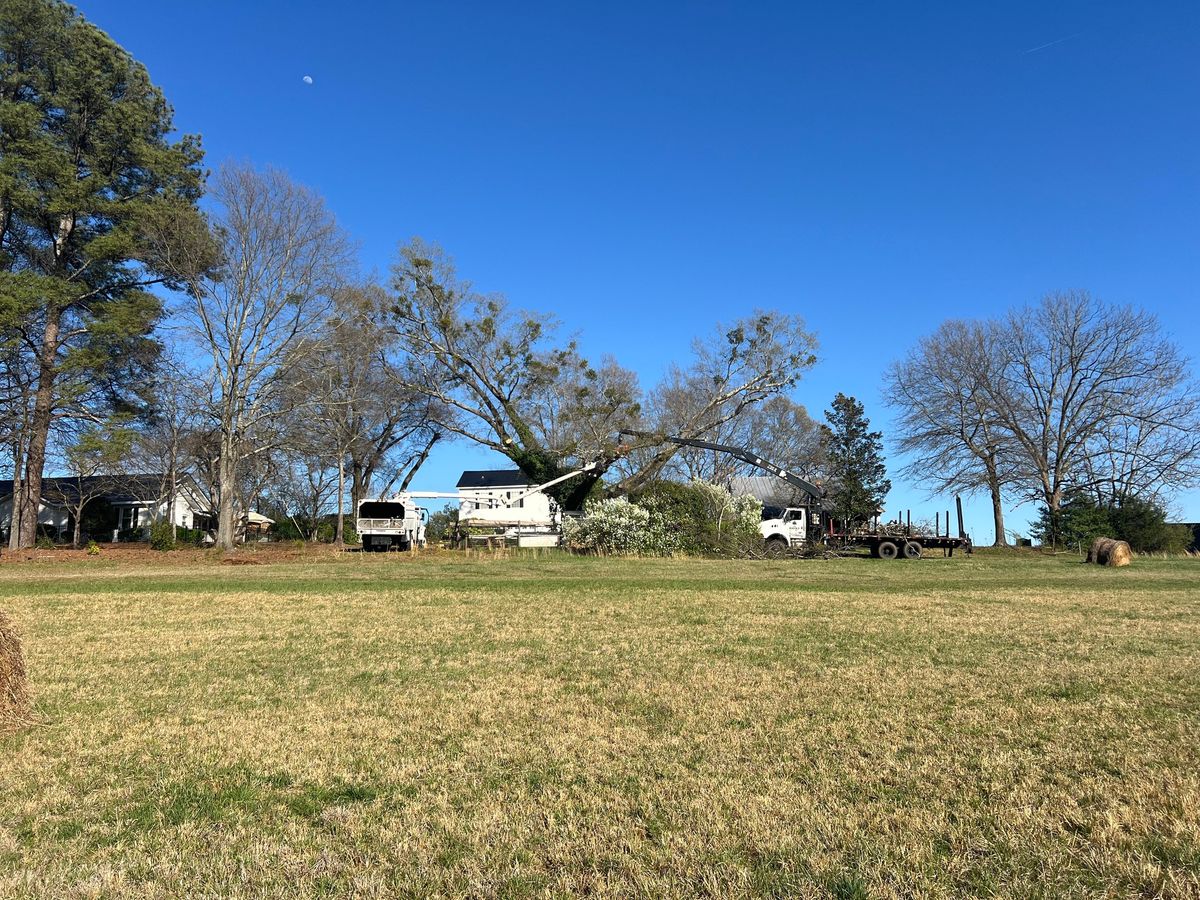 Fall Clean Up for Owens Tree Services in Inman, SC