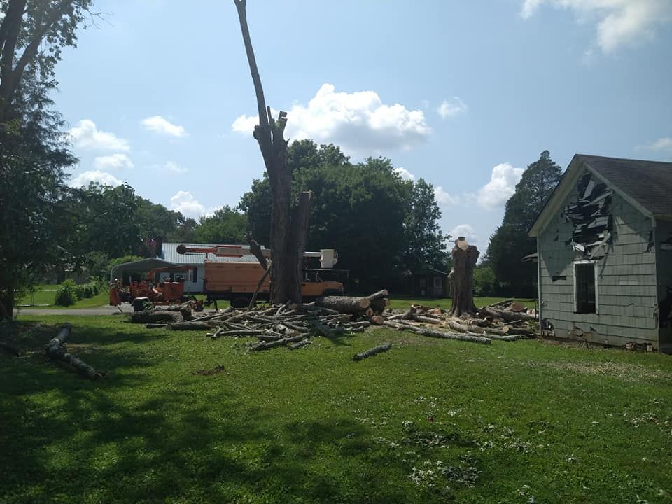 Tree Experts for Scott's Tree Service in Athens, TN