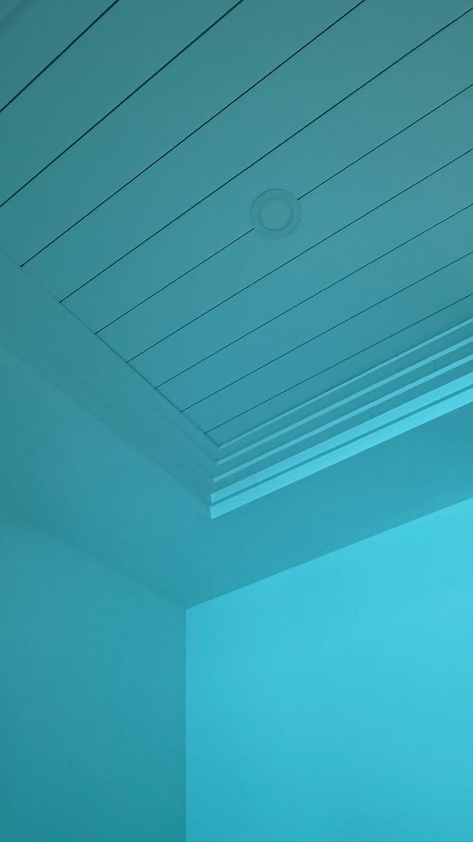 Tongue And Groove Ceilings for Rich Construction Services in Parrish, FL