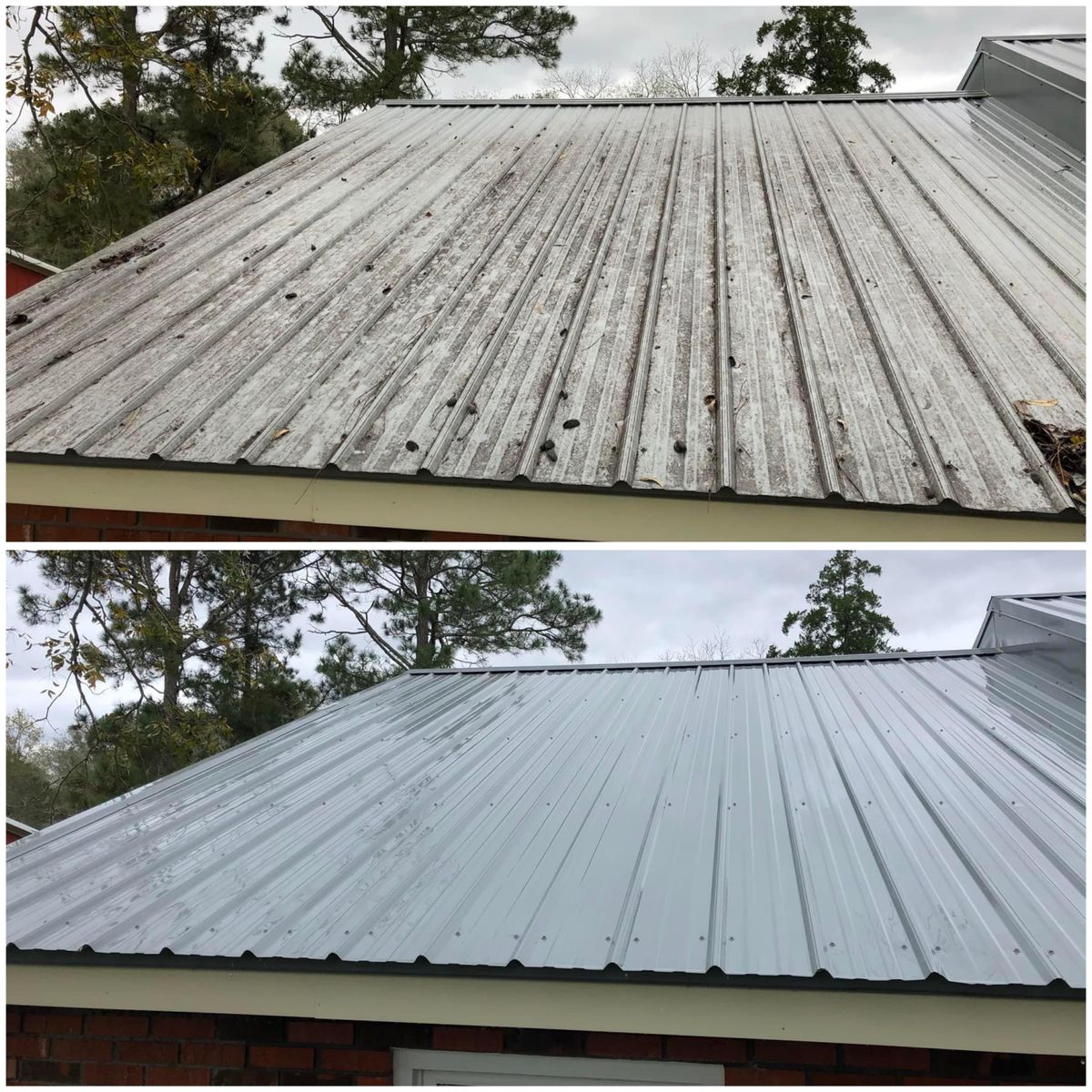 Roof Cleaning for Port City Power Washing in Wilmington, NC