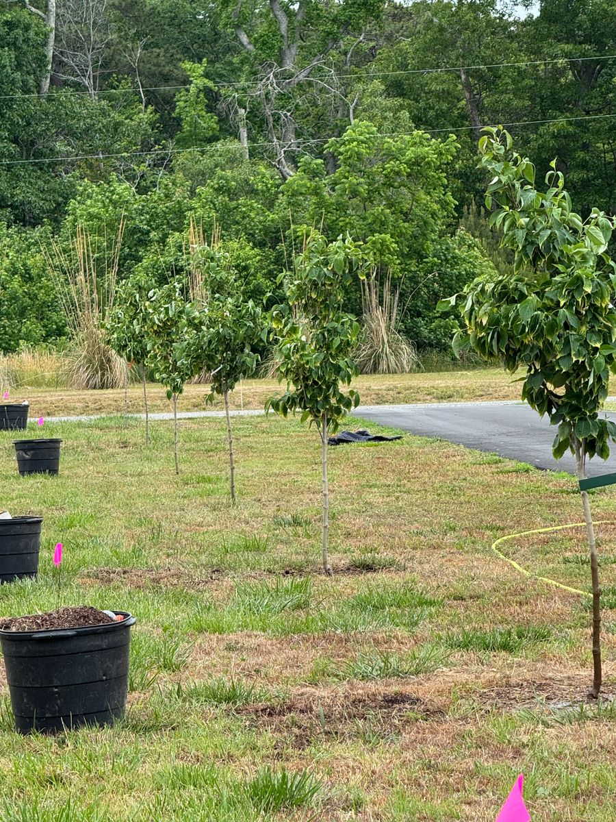 Shrub and Plant Trimming for The Whole 9 Yards Landscape VA in Heathsville, VA
