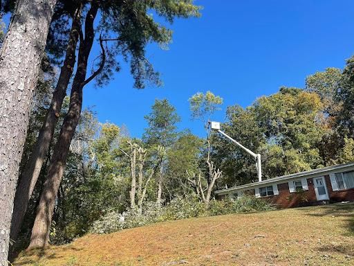 Tree Removal for Ross Family Tree Service LLC  in Hohenwald, TN