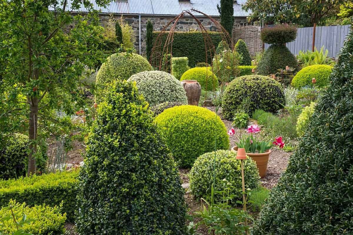 Shrub Trimming for Optimum Tree Service And Landscaping in Bowling Green, KY