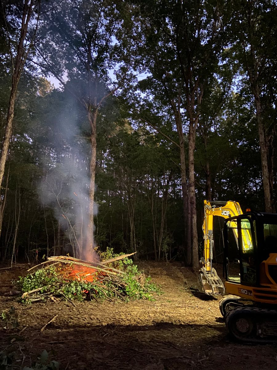 Tree Trimming & Removal for Upchurch Property Management in Carthage, NC