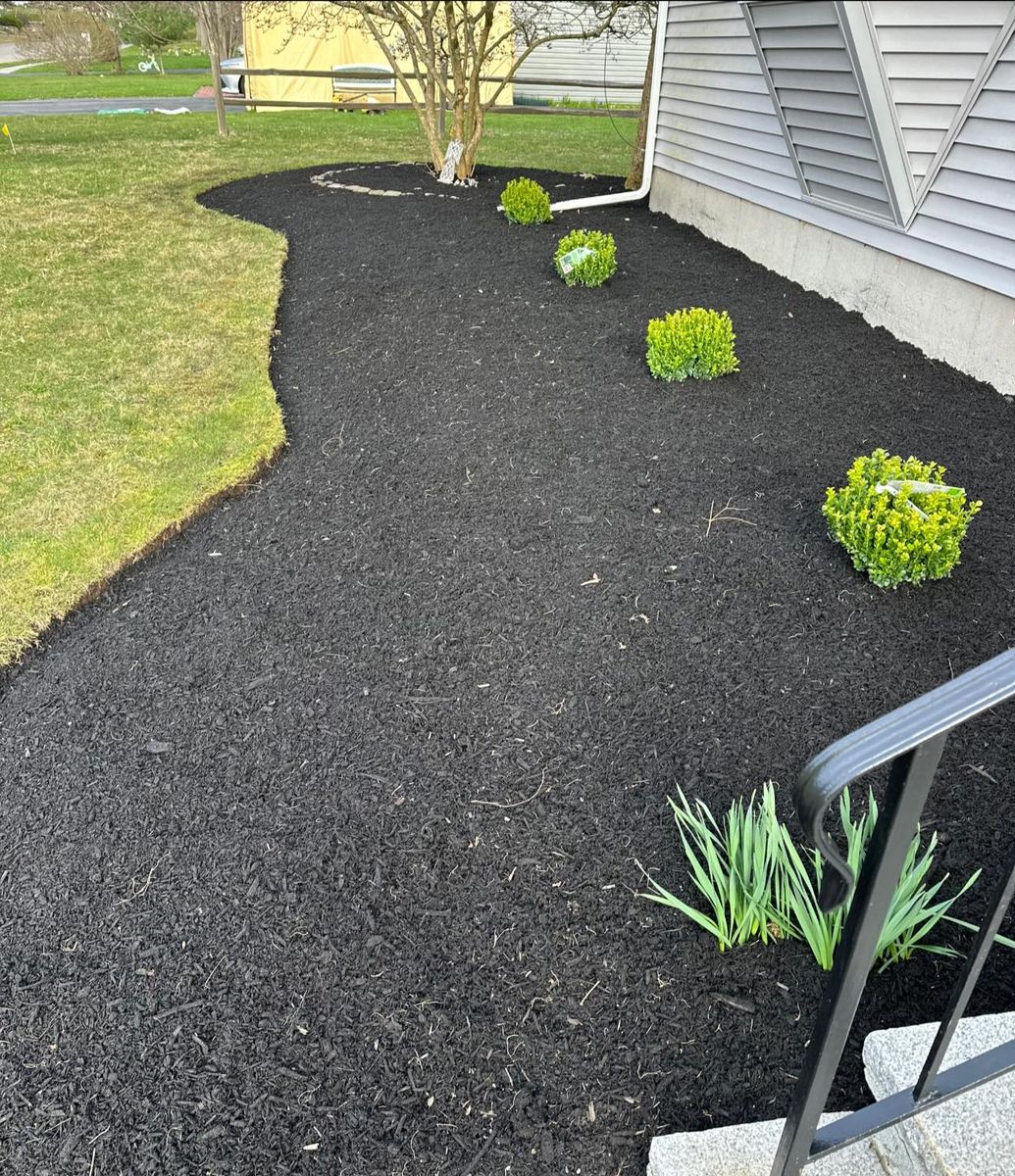 Mulch Installation for Rose Landscape & Design, Inc. in Abington, MA