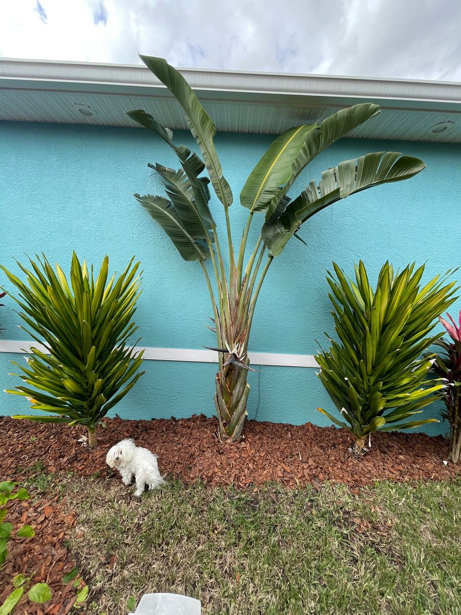 Fall Clean Up for MyerScapes Environmental LLC in Mulberry, FL