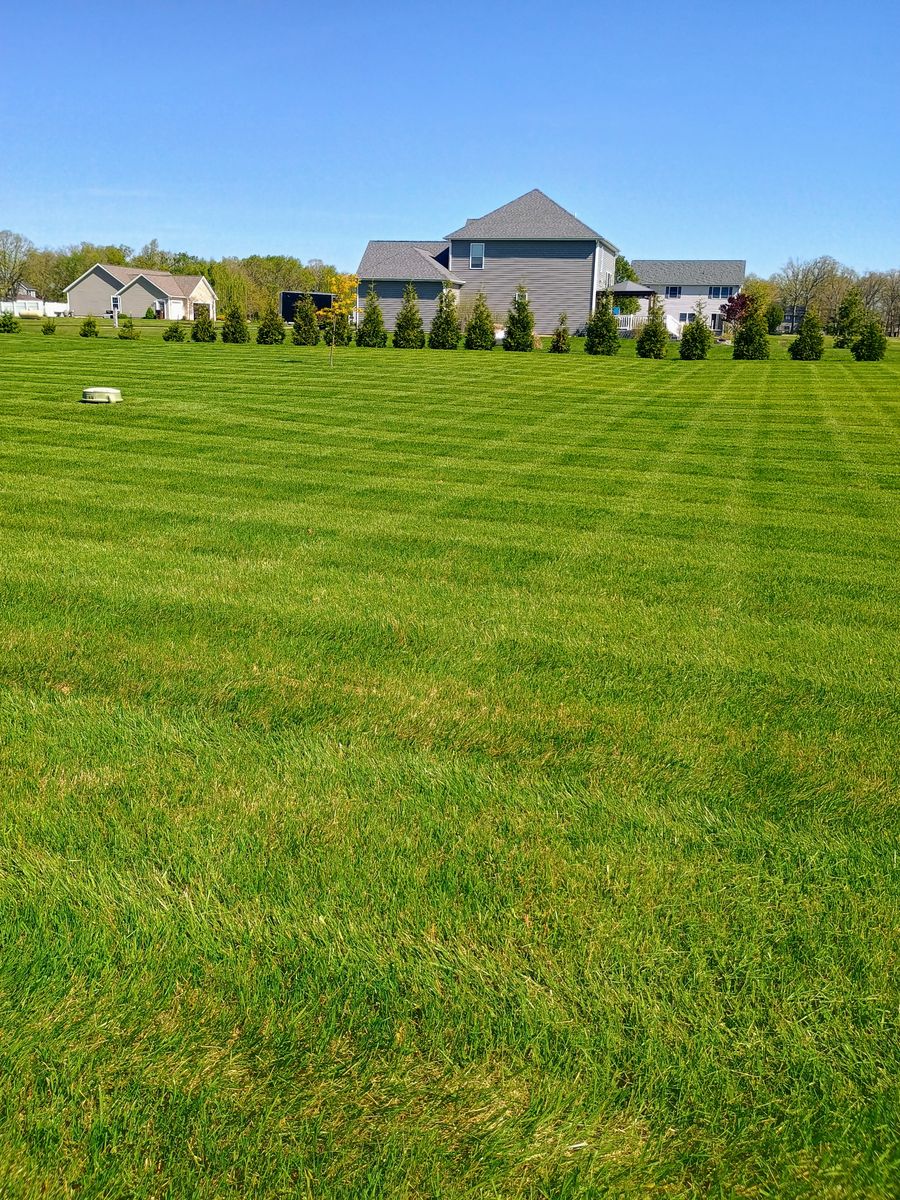 Tree and Shrub Planting for R&M Lawn Control in Defiance, OH