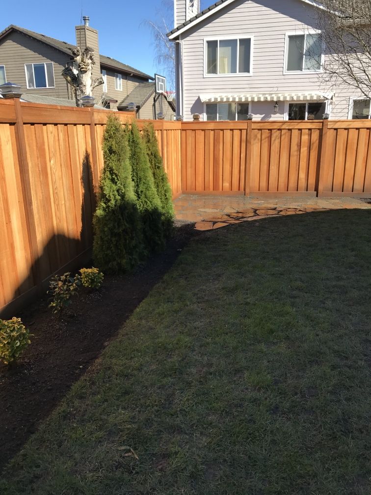 Shrub Trimming for Rs lawn Care llc in Beavertown, OR